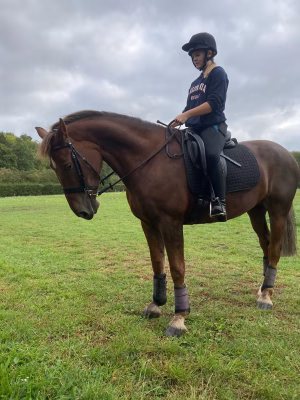 Anna Verdier - Gallery Image 1