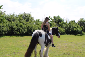 Anna Verdier - Gallery Image 12