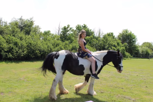 Anna Verdier - Gallery Image 15