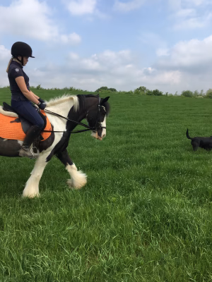 Anna Verdier - Gallery Image 8