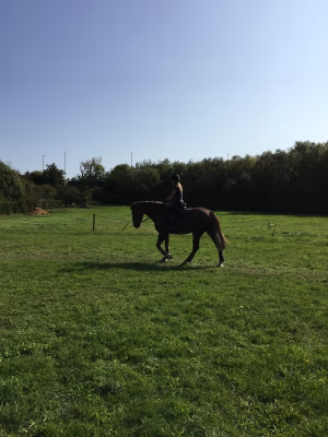 Anna Verdier - Gallery Image 7