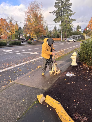 Michael Workman - Project Casting Gallery Image 5 Michael Workman - Gallery Image 5