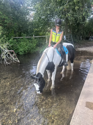 Anna Verdier - Gallery Image 5