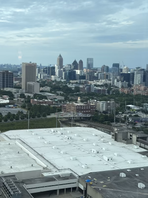 Brigitte Collins - Project Casting Gallery Image 9 Brigitte Collins - Gallery Image 9