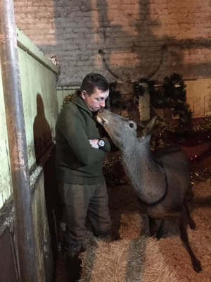 Jeremy Gumbley - Gallery Image 1