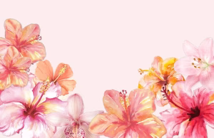 Angely Cisneros - Gallery Image 3