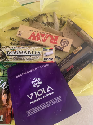 ALVIN WARD - Gallery Image 7