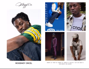 Roodney Orcel - Gallery Image 1