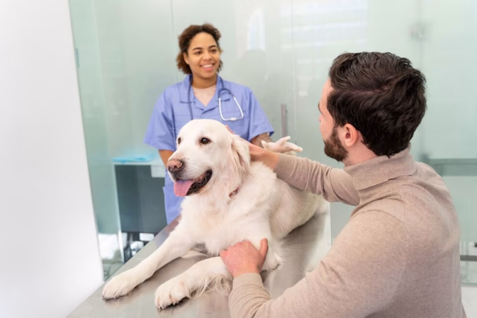 Innovo Vet Near Me  Group (IVG) - Profile Photo