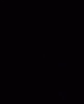 cropped_image-2095