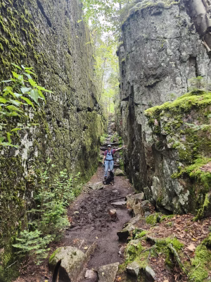 Leah Hoffman - Gallery Image 1