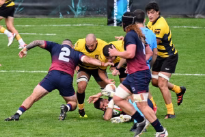 Kelly Dunlop - Gallery Image 4