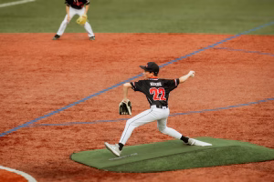 Warren Heede III - Gallery Image 8