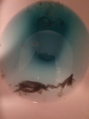 Sonia Greenhagen - Gallery Image 12