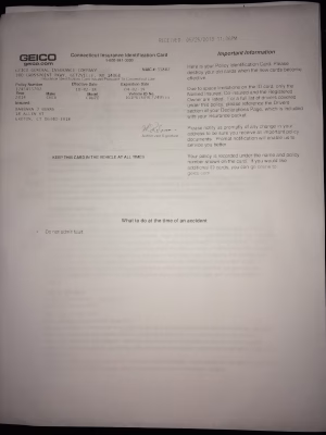 Sonia Greenhagen - Gallery Image 16