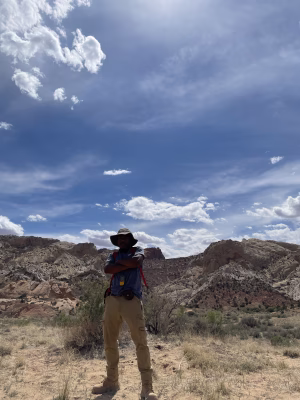 David Taylor - Project Casting Gallery Image 10 David Taylor - Gallery Image 10