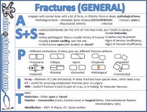Pamela Cunningham - Project Casting Gallery Image 18 Pamela Cunningham - Gallery Image 18