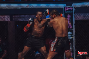 Jason Matthews - Gallery Image 5