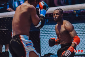 Jason Matthews - Gallery Image 4