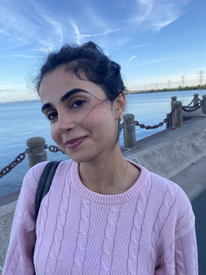 Niaz Vahdat - Project Casting Gallery Image 3 Niaz Vahdat - Gallery Image 3