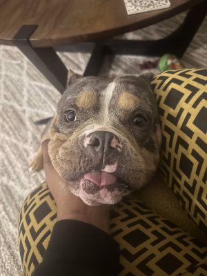 Shanece Lenzy - Gallery Image 9