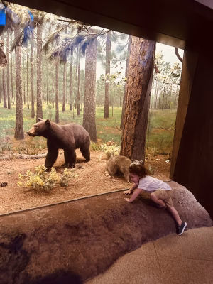 Benjamin Faulkner - Project Casting Gallery Image 12 Benjamin Faulkner - Gallery Image 12