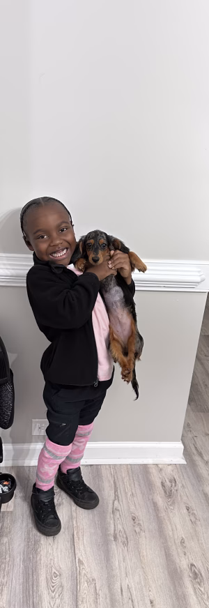 Kingsley Seals - Gallery Image 3