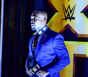 Dennis  McCamery - Gallery Image 4