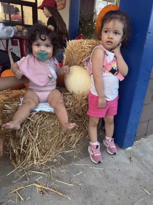 Kania Rezaie - Gallery Image 4