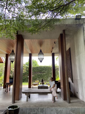 Maria  Bliebernicht Diogo Lopes - Gallery Image 7