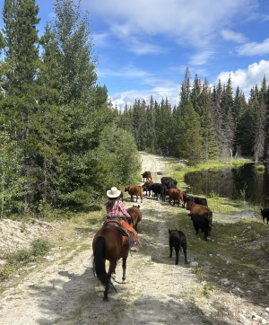 Sage Mayo - Gallery Image 4