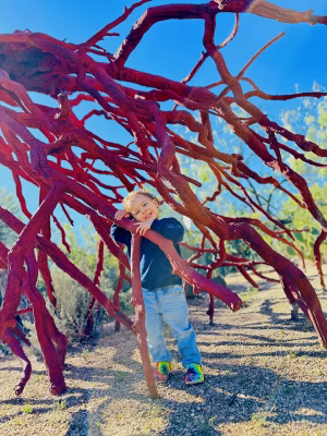 Benjamin Faulkner - Project Casting Gallery Image 19 Benjamin Faulkner - Gallery Image 19