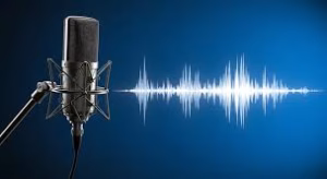 Stand BEAULIEU - Project Casting Gallery Image 3 Stand BEAULIEU - Gallery Image 3