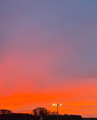 cropped_image-4139