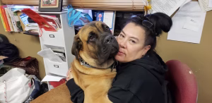 Dawn Dino - Project Casting Gallery Image 10 Dawn Dino - Gallery Image 10