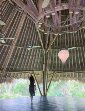 Diana  Arlett - Gallery Image 4