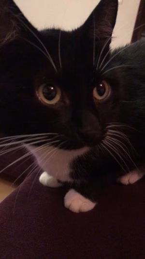 Kornelia Konior - Gallery Image 4