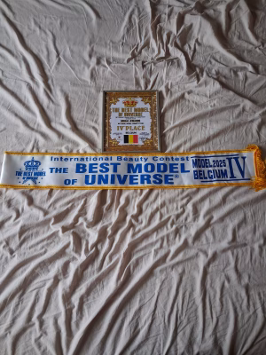 Bram Hombrouckx - Gallery Image 26