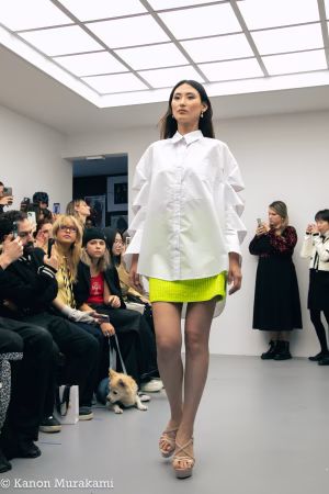 Chizu Yokoe - Gallery Image 15