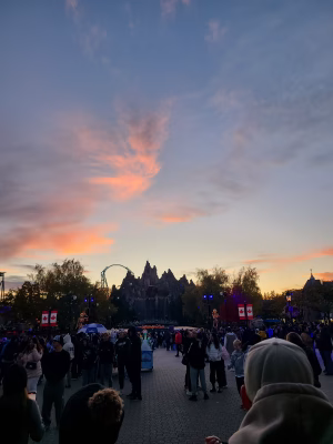 Mark Holland - Gallery Image 1