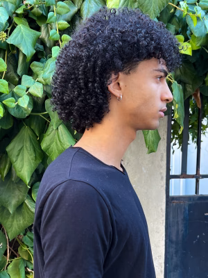 Raphael Prince - Gallery Image 3