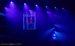 Conor Collins - Project Casting Gallery Image 1 Conor Collins - Gallery Image 1