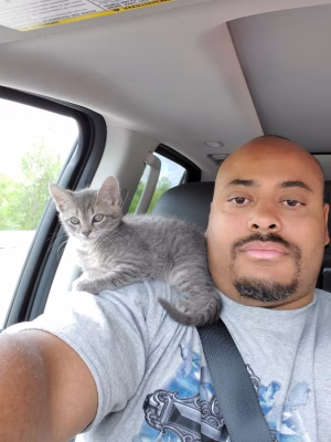 William Edgerton - Gallery Image 26