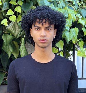 Raphael Prince - Gallery Image 1