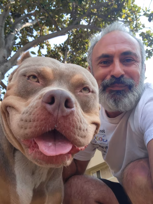 Tigran Ter-Avetisyan - Project Casting Gallery Image 3 Tigran Ter-Avetisyan - Gallery Image 3