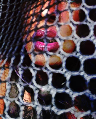 FB_IMG_1683298902193-1