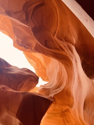 Chanel Ford - Project Casting Gallery Image 2 Chanel Ford - Gallery Image 2