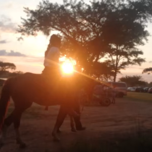 Keisha Bukutu - Gallery Image 4