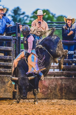 Jorden Halvorsen - Project Casting Gallery Image 18 Jorden Halvorsen - Gallery Image 18