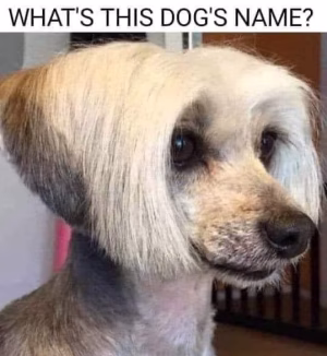 Nekita Stallings - Gallery Image 2